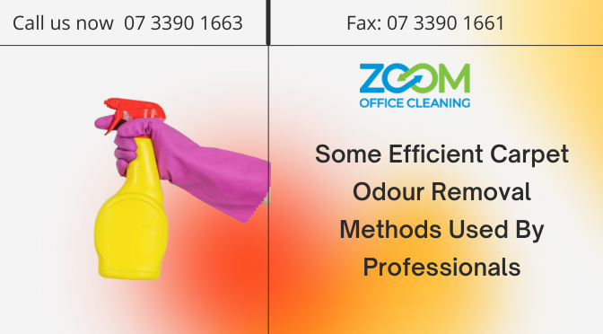Some Efficient Carpet Odour Removal Methods Used By Professionals