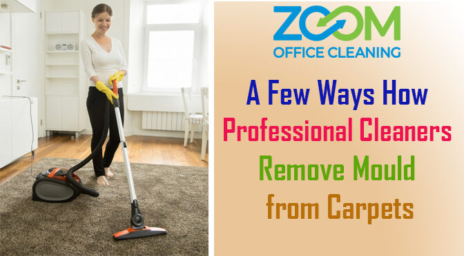 A Few Ways How Professional Cleaners Remove Mould from Carpets
