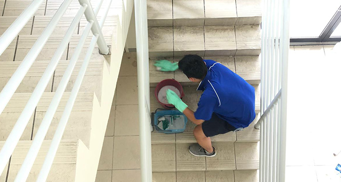 Common Area Cleaning