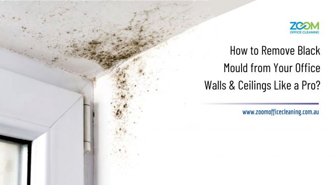 Remove Black Mould from Your Office Walls & Ceilings